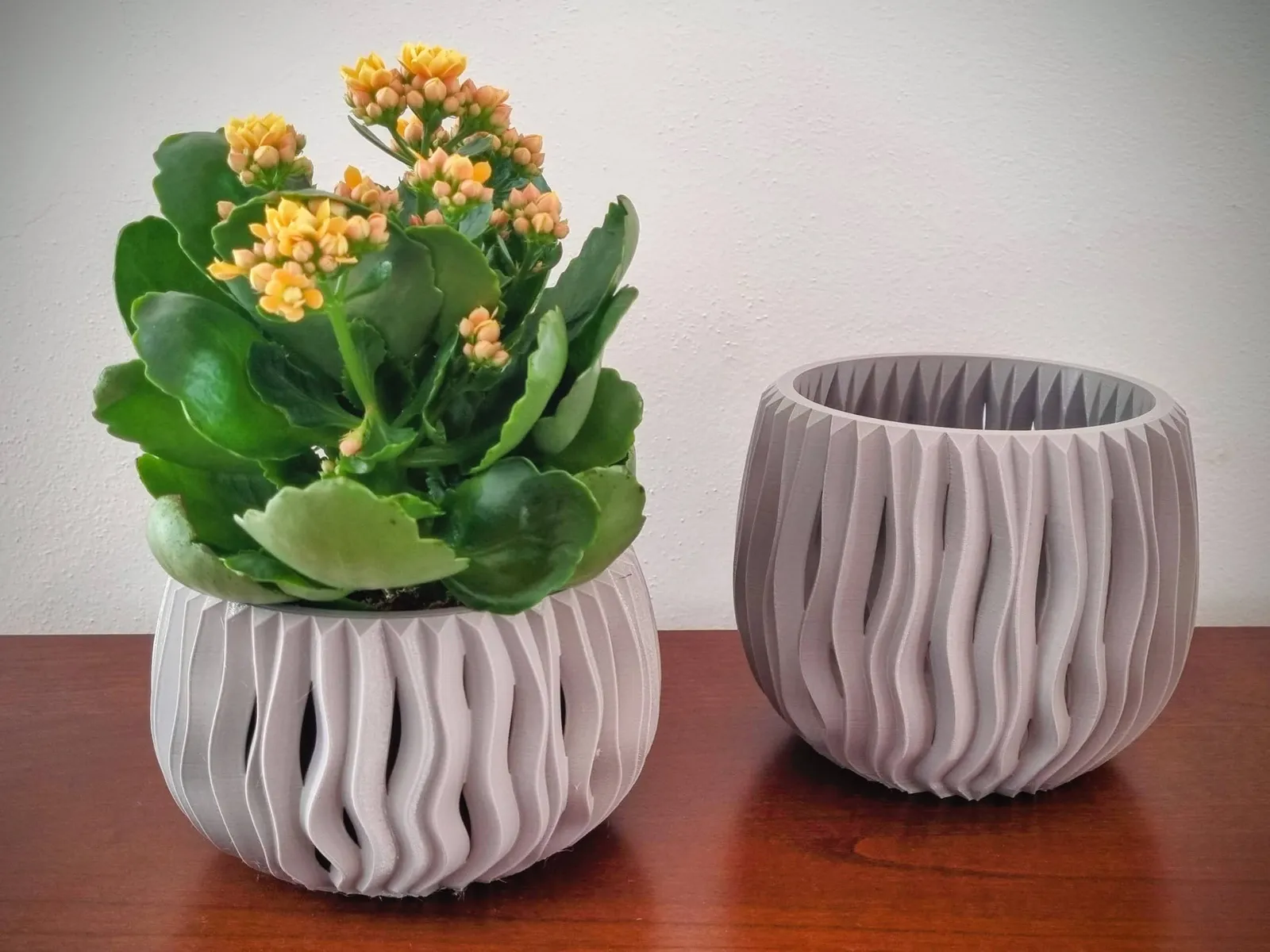 Modern neopot