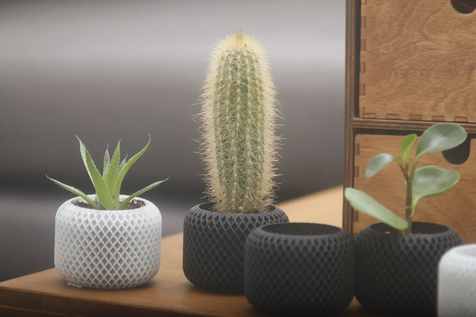 Small Geometric neopot